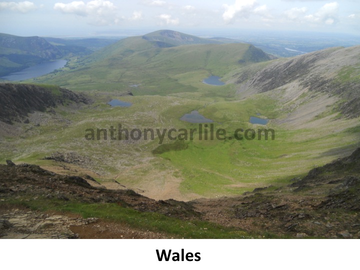 Anthony Carlile_13.jpg